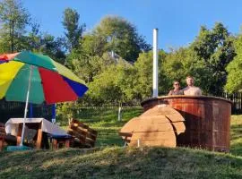 Pensiunea Cabana Viselor ,Apuseni