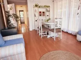 Hostal Casa Terracota 86