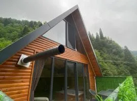 Yıldız Otel Dağ Evi