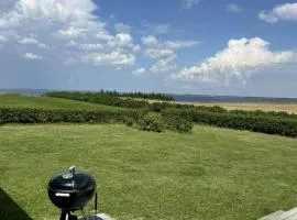 Sommerhus Med Vildmarksbad Og Udsigt Over Vandet