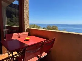 Charmant appartement vue mer