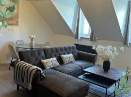 Appartement spacieux proches transports et RER A