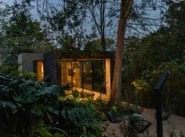 Selvva suites casa de lujo en un bosque nativo
