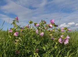 3-bedroom holiday home for 6 people