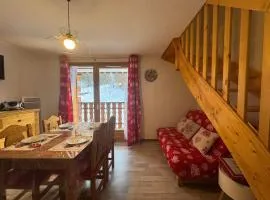 Appartement charmant proche pistes avec parking - FR-1-498-127