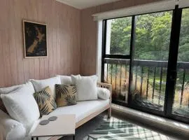 Beautiful Hagley Park view apartment in CBD