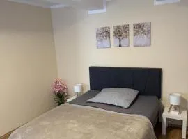 Gemütliches Appartement 5 - mit Küche und Bad zur Eigennutzung -Schuster Homes-