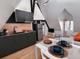 Appartement des tanneurs - Hyper centre