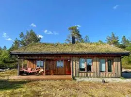 Gorgeous Home In Dølemo With House A Mountain View