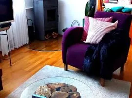 FeWo Sartorius am Hemsberg