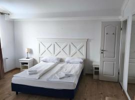 Pensiunea Venezia, hotel Győrödön