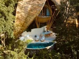 Cocoon Reserve