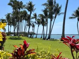 Lousha Bach Dolphin Heads