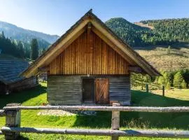 Wulfeniahütte - Dolinza Alm