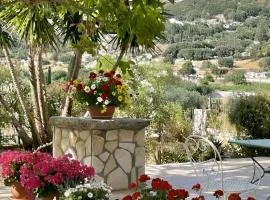 The Kefalonian Divarata House