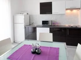 Apartmani Novak doo-Vila Novak Novalja