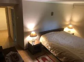 Przytulny pokój z łazienką Cosy Room with Bathroom