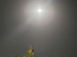 אחוזת נופש ביער