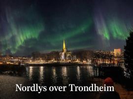 Viesnīca Koselig studioleilighet i sentrum Tronheimā