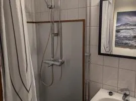 Stenkast från Centrum