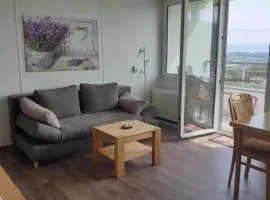 Appartement mit schöner Weitsicht auf Bodensee und Berge