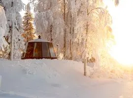 AuroraHut at Sauna Retreat