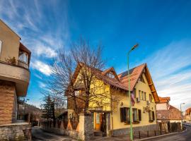 Pension Brasovu Vechi