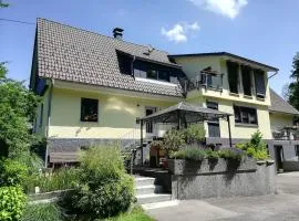 Beautiful apartment in Wangen im Allgäu close to the center
