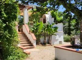 Aux portes du bonheur