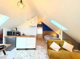 Studio rénover cinq minutes du centre-ville