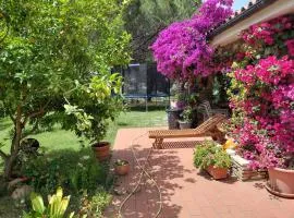 Piccolo angolo di paradiso