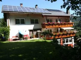 Apartment Todtmoos 1