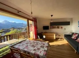 Appartement confortable 4 pers., proche pistes et commerces, parking, balcon Sud-Ouest, animaux admis - FR-1-733-91