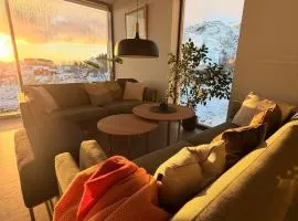 Lofoten Viewpoint 13