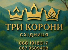 Hotel Three Korony、スキュネイザのホテル