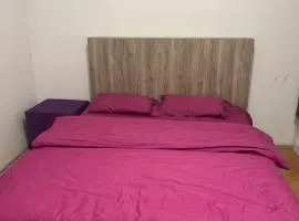 Banner house尼西之家