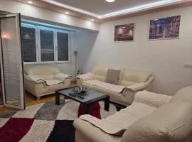 Modern City Apartment