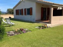 La Collina: Il tramonto