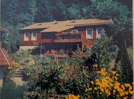 Arode Lodge Blick auf Zorge - Mountain Lodge with Panoramic Views