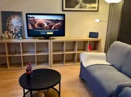 Helles Appartment, WLAN, Netflix, Nähe CHIO