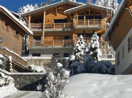 Luxury Chalet Valberg sauna jacuzzi gym- 1hour from Nice airport、Péoneのホテル