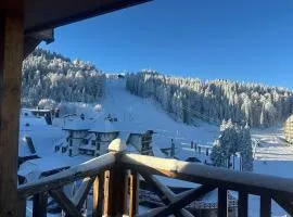 Privatni apartman U532 - u sklopu hotela Vučko Jahorina