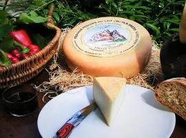 Gîte 6 pers, séjour au cœur d'une cave d'affinage - classé 3 étoiles