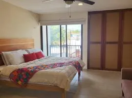 Modern loft with AC near Paseo Montejo - El Rosal
