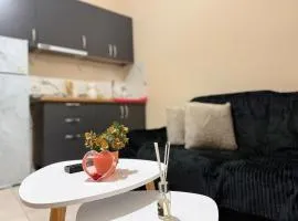 Xexi Apartments