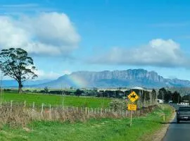 True Blue Four - Couples Plus