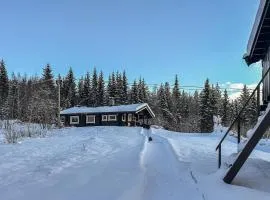 Awesome Home In Nybergsund With Wifi