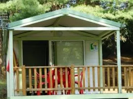 Chalet - Terrasse - API-1-52-1592