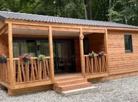 Chalet - Terrasse - API-1-52-1591