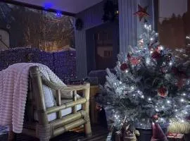 Alpine Yard Nest Busteni